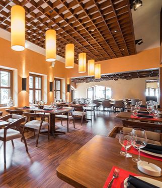 Commercial Pest Control